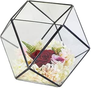 NEHARO Terrario Geométrico Geométrico Titular de Cristal Clara