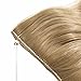 Hair Extensions 20