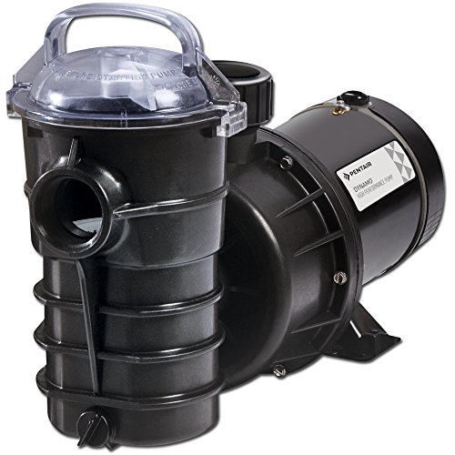 Pentair DYNIINI 3/4 HP Dynamo Single Speed Aboveground Pool Pump with