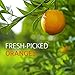 Tropicana, Orange Juice with Calcium + Vitamin D, No Pulp, 59 oz