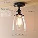 Pathson Ceiling Lighting with Clear Glass Shade, Loft Vintage Flush Mount Wall Sconce, Antique Industrial Home Wall Light Fixtures