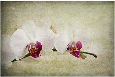 Floral photo print, Orchids Fine Art Photographic Print, Wall Decor, Flower photographic print, Fine art photography