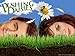 Pushing Daisies Season 1