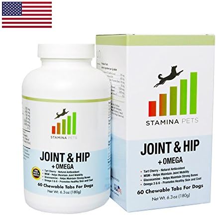 Stamina Pets Advanced Joint and Hip Dog Supplement - For Dogs With Mobility Issues - 60 Potent Chewable Treats With Glucosamine and MSM