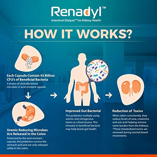 Renadyl™ AllNatural Probiotic Best Kidney Supplement 3 Bottles