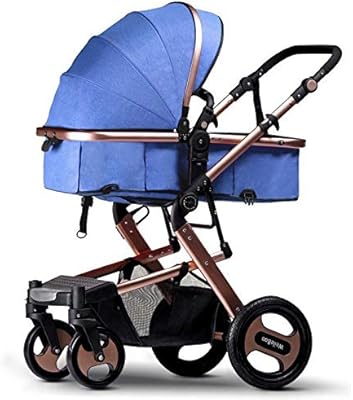 best 2 in 1 baby stroller