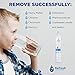 Refresh Replacement Refrigerator Water Filter for GE RPWF, R-3600; also compatible with FILTER models RWF1063, RWF3600A, RPWF, WSG-4 (does NOT fit RPWFE) - 3 Pack