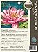 Dimensions Needlepoint Kit, Dragon lily, 5'' x 5''