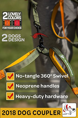 Pet Dreamland Hands Free Leash - for One/Two Medium to Large Dogs (up to 150lbs) - Running/Hiking/Dog Training - Heavy Duty Extra Long Bungee Lead - Waist Leashes for Dogs (Two Dogs, Black & Green)