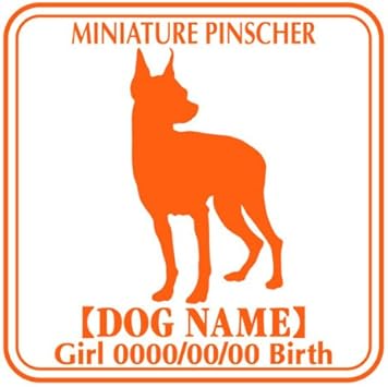 Amazon Co Jp ワラ犬 ミニチュア ピンシャー ミニピン ステッカー ｅパターン ボーイブラウン 茶色 ペット用品