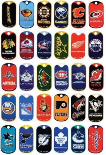 brachycephalic airway syndrome in dogs