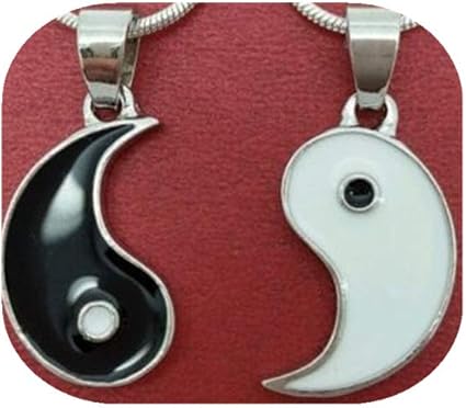 Amazon.com: Yin Yang Necklaces to share with your best friend set: Clothing
