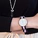 Daniel Wellington Classic Winchester Rose Gold Watch, 36mm, Nato, for Men and Women