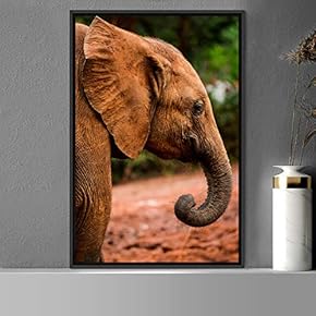 signwin Framed Canvas Wall Art Elephants Animals Dramatic...