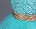 JiaDuo Baby Girl Lace Mesh Tutu Dress Sequin Bow Toddler Princess Gown ,Soft Mint,12-18 Months (80)