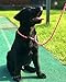 Joytale Dog Slip Leash Rope - Reflective Training Leads for Small Medium Large Dogs - 3/8 inch by 6 Feet - Pink