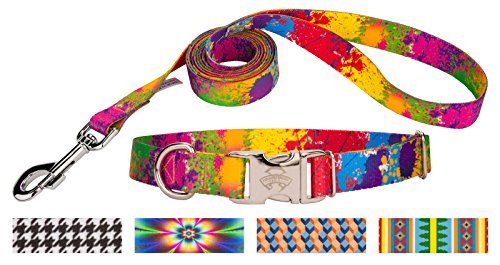 Country Brook Design Paint Splatter Premium Dog Collar & Leash - Medium