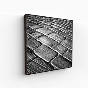 Canvas Wall Art for Living Room, Bedroom Silence Framed Canvas Prints for Home Decoration Ready to Hang - 16x16 inches