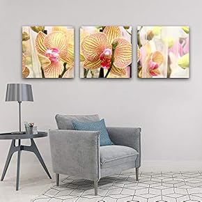 3 Panel Elegant Flowers Pictures Home Wall for...