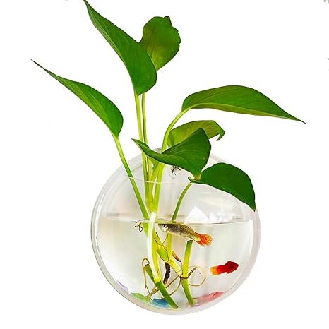 Pet Supplies Kathson 7 28 Wall Fish Bowl Acrylic Hanging Aquarium