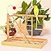kathson Parrot Playpen, Bird Perch Playstand Parrot Playground Gym, Wood Ladder Swing Climbing with Toys Exercise Play for Parakeet Budgie Conure Hamsterthumb 4