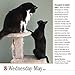 365 Cats Page-A-Day Calendar 2019