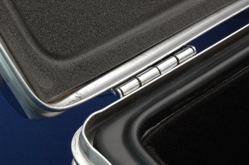 rimowa tropicana camera case