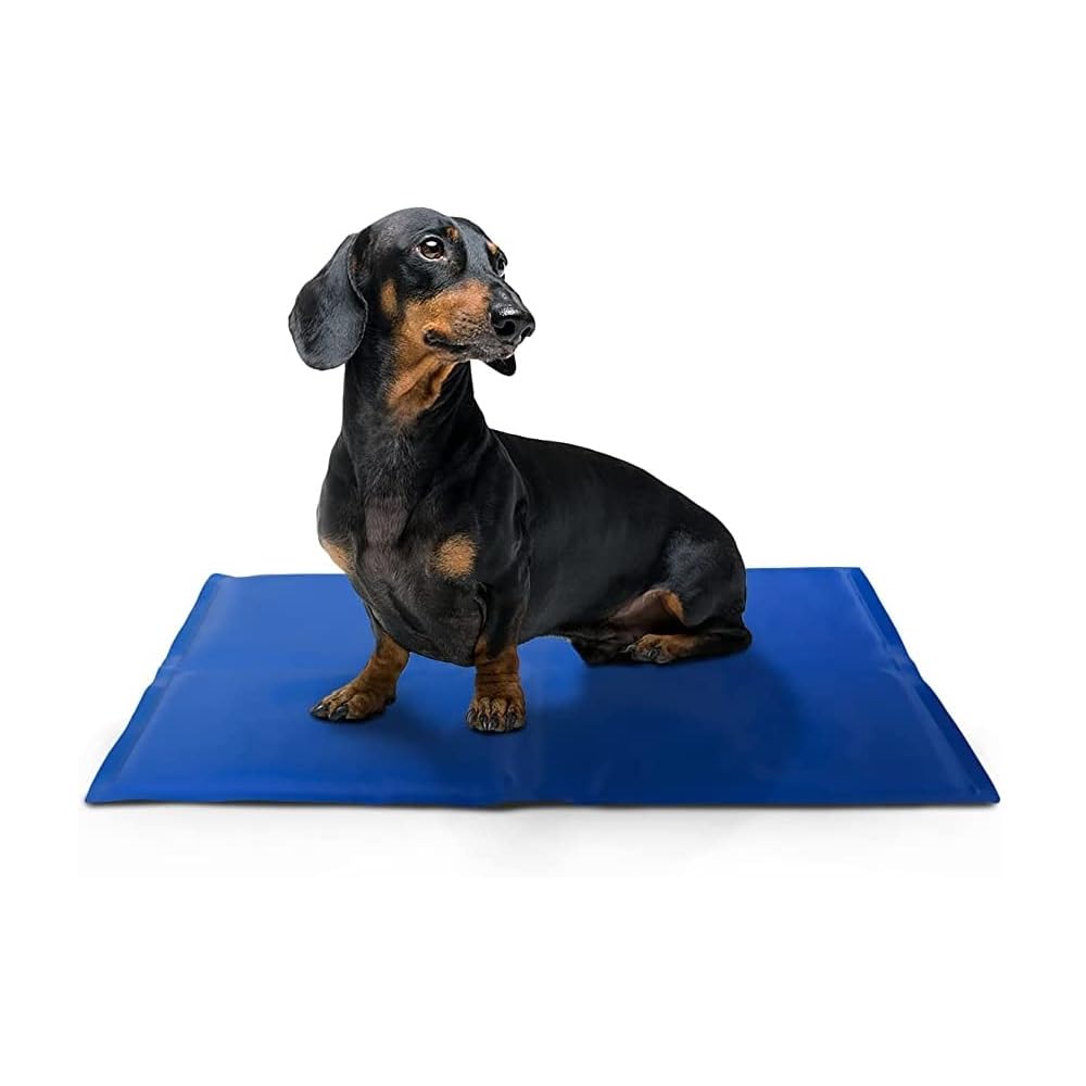 FERRIS | Pet Cooling Gel Mat for Dogs & Cats - 44x64cm | Self-Cooling, Non-Toxic, Portable, Easy to Clean | Ideal for Hot Weather, Crate, Pet Beds | Cooling Pad for Summer Comfort