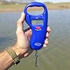 Home-Lake-Digital-Fish-Scale-by-Polychrome-Gear-99lb45kg-Mountain-Lake-Blue