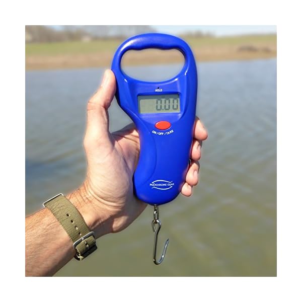 Home-Lake-Digital-Fish-Scale-by-Polychrome-Gear-99lb45kg-Mountain-Lake-Blue