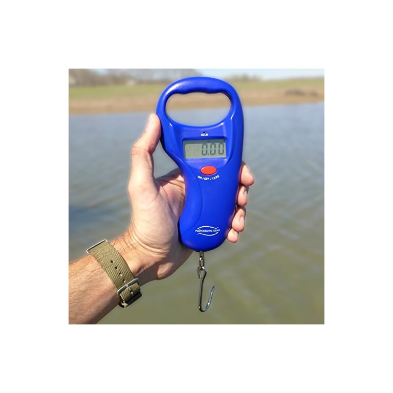 Home Lake Digital Fish Scale by Polychrome Gear, 99lb/45kg (Mountain