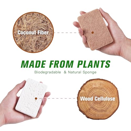 12 Pack Eco-Friendly Coconut Fiber Kitchen Sponges - Biodegradable, Durable, and Soap-Saving for Pots, Pans, Countertops, Bathtubs, and Tiles, Sponge Dish (Square)