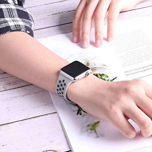 spruce fog apple watch