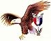 American Eagle Scout Edible Cake Topper Frosting 1/4 Sheet Birthday Party