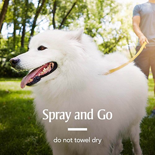 PETARMOR LongLast Fipronil Flea and Tick Spray for Dogs and Cats