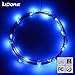LIDORE Micro LED 20 Blue String Lights with Timer, Battery Operated on 7.87ft Long Silver Color Ultra Thin Copper Wire