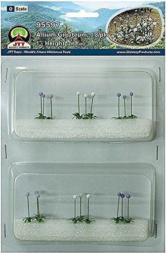 Allium Gigateum, O-Scale 18pk