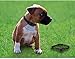 Oternal No Bark Dog Collars with Stimulation of The Warning Sound and Vibration(no Shock), an Pain Free and no Hurt Dog Training Collars for The Dogs Weighing 10-35 lbs, for 2 Items