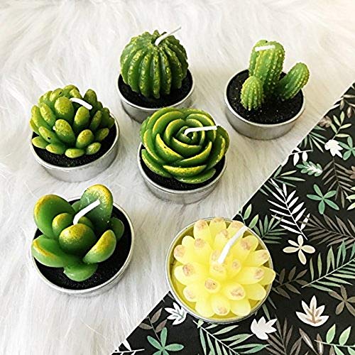 image for LA BELLEFÉE Cactus Tealight Candles, Decorative Delicate Succulent Ha