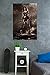 Trends International Batman vs Superman Wonder Woman Wall Poster 22.375