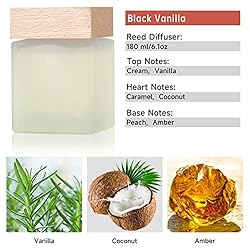 Brakula Reed Diffuser Set, Black Vanilla Scented