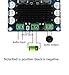 AOSHIKE 100W TPA3116 Digital Power Amplifier Board TPA3116D2 Mono Channel Audio Amplificador DIY DC12-26V