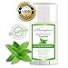 All Natural Deodorant Stick Aluminum Free Peppermint 2.9 oz | Healthy Deodorant GMO-Free | 100% Non-Toxic Deodorant | All Day Protection | Deodorant For Men And Women | Non Irritating | Non Sticky