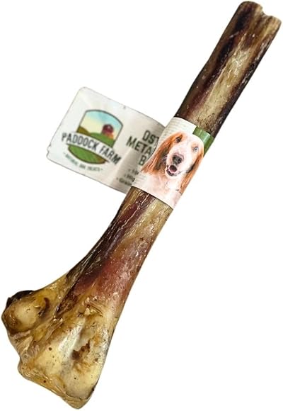 Paddock Farm Ostrich Metatarsus Bone Dog Treats Natural Long Lasting