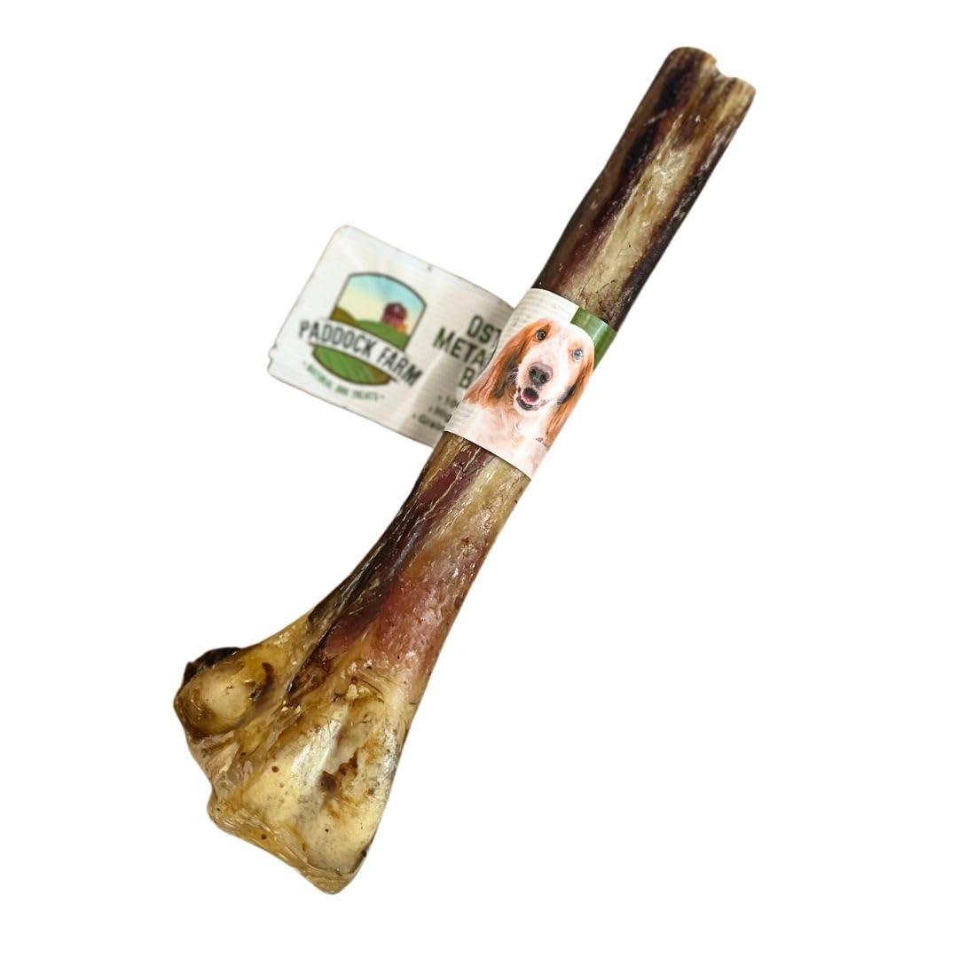 Paddock Farm Perfectly Pawsome Antos Ostrich Metatarsus Bone For Dogs - Natural Dog Bones Long Lasting Dog Treats