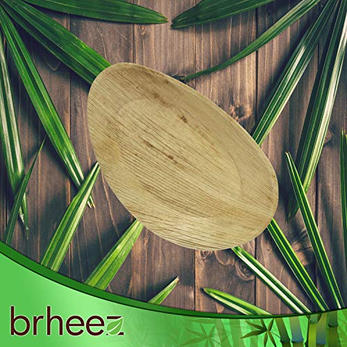 Brheez Palm Leaf Disposable Bamboo Like Oval 10 x 6 Inch Natural Elegant Sturdy Plate/Serving Platter Biodegradable, Compostable Chemical Free, Natural Alternative to Plastic and Paper - Pack of 25