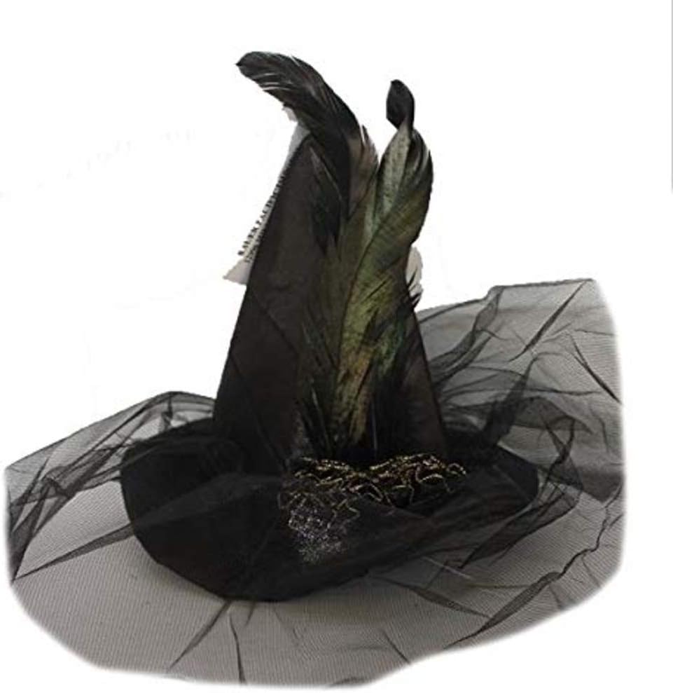 witch hat with veil
