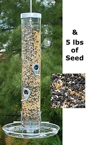 Amazon Com Bestnest Droll Yankees B 7 Bird Feeder With Seed Tray
