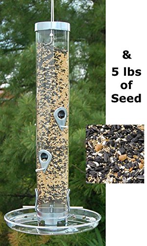 Amazon Com Bestnest Droll Yankees B 7 Bird Feeder With Seed Tray
