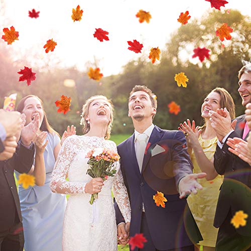 HAKACC Fake Autumn Leaves, 300 PCS Artificial Maple Leaves Autumn Leaves for Weddings Autumn Parties Art Scrapbooking and Decorations